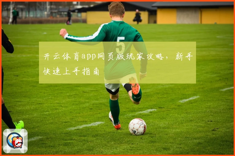 开云体育app网页版玩家攻略，新手快速上手指南