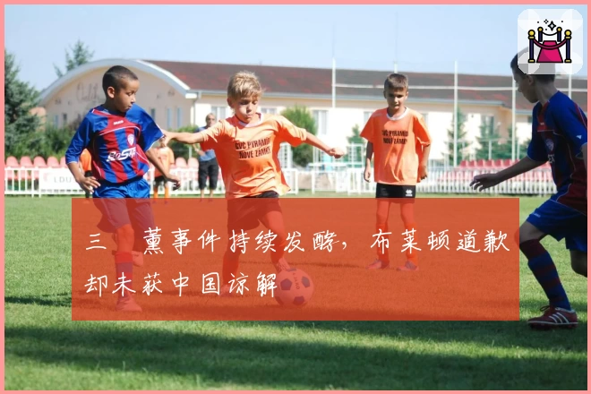 三笘薰事件持续发酵，布莱顿道歉却未获中国谅解