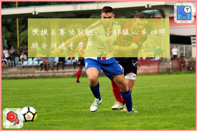 樊振东赛场取胜,小胖暖心举动照顾非洲选手尊严
