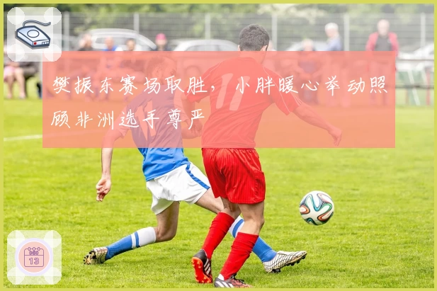 樊振东赛场取胜,小胖暖心举动照顾非洲选手尊严
